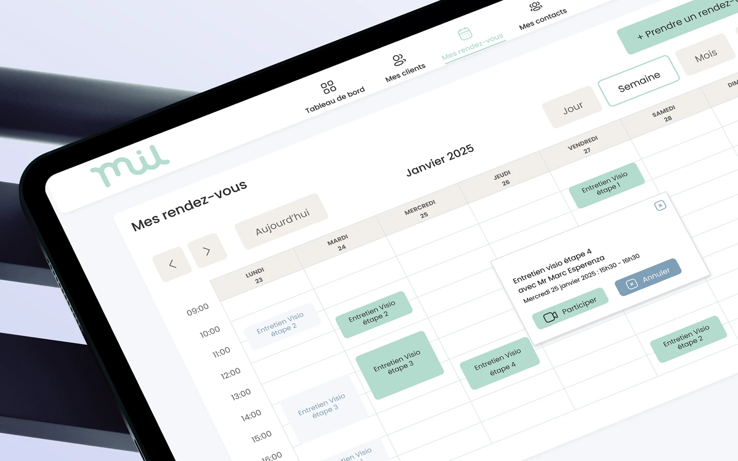 zoom ipad MIL - infografika.com digital designer - bilan de compétences