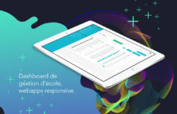 dashboard nicolazic - freelance - fabrice vermeulen - infografika - webdesign - UI - IHM