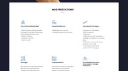 clinique vétérinaire churchill - vannes - infografika - Webdesigner - - morbihan - graphiste - fabrice vermeulen - digital designer - vétérinaire Vannes