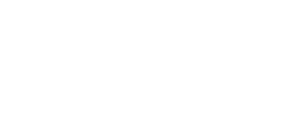 logo-business france - fabrice vermeulen - infografika - webdesign - UI - IHM